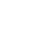 icons8-security-configuration-100